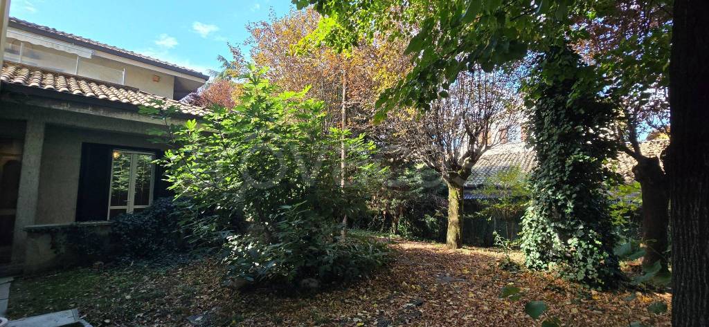 immagine annuncio 6 di 7