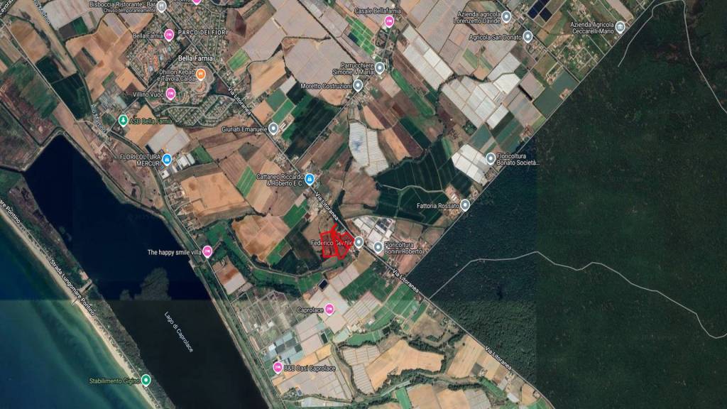 immagine annuncio 8 di 9