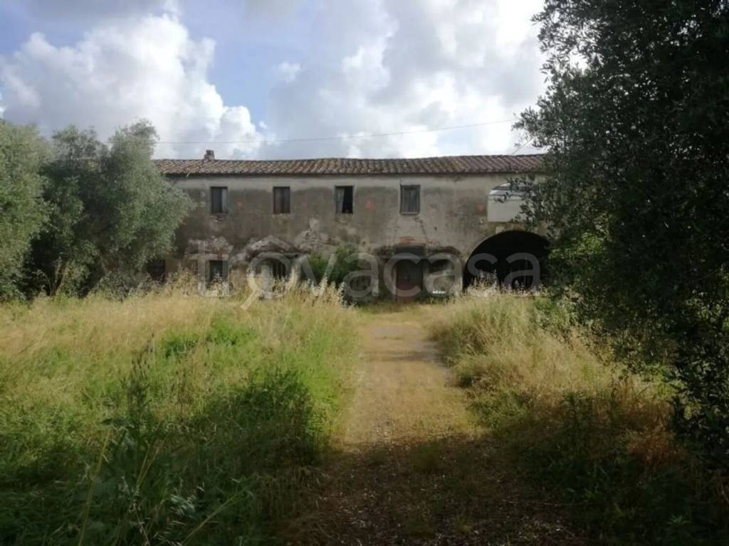 immagine annuncio 3 di 6