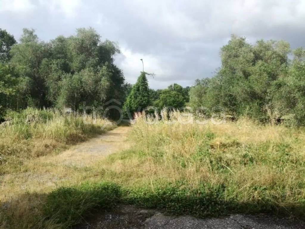 immagine annuncio 4 di 6