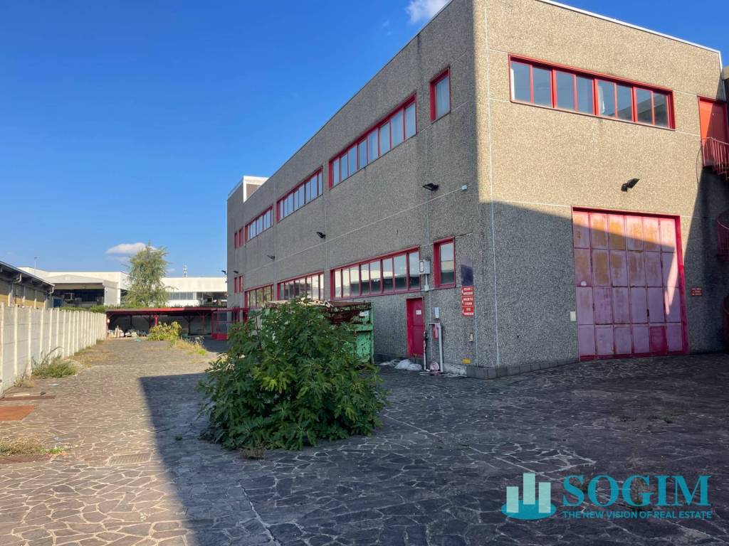 immagine annuncio 2 di 15