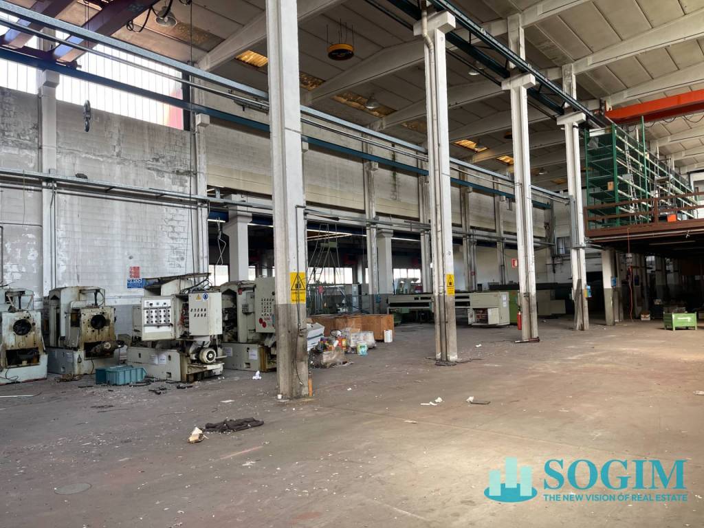 immagine annuncio 12 di 15