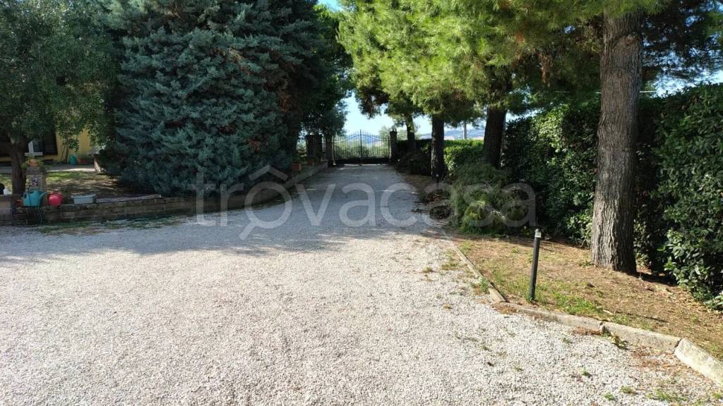 immagine annuncio 4 di 7