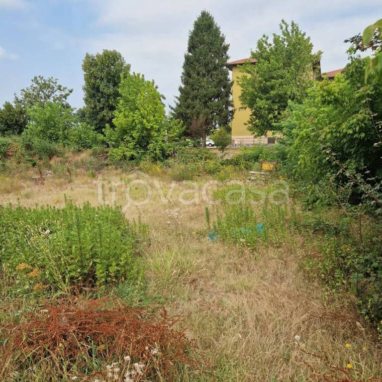 immagine annuncio 11 di 15