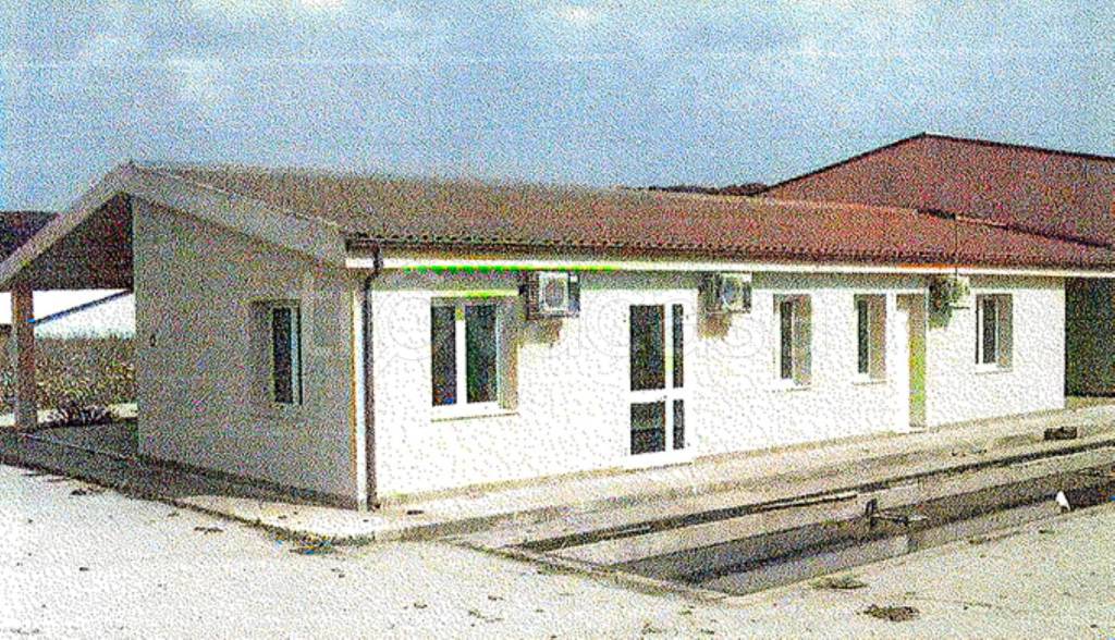 immagine annuncio 1 di 12