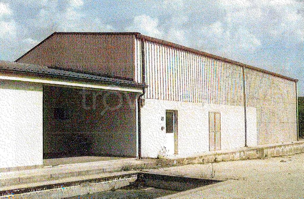 immagine annuncio 4 di 11