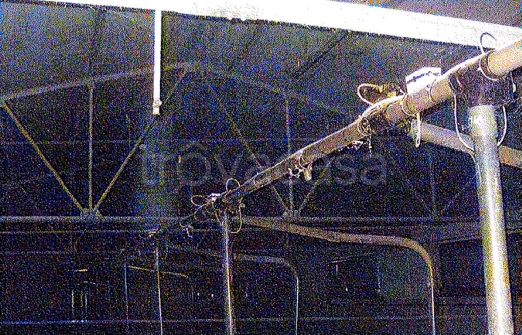 immagine annuncio 6 di 11