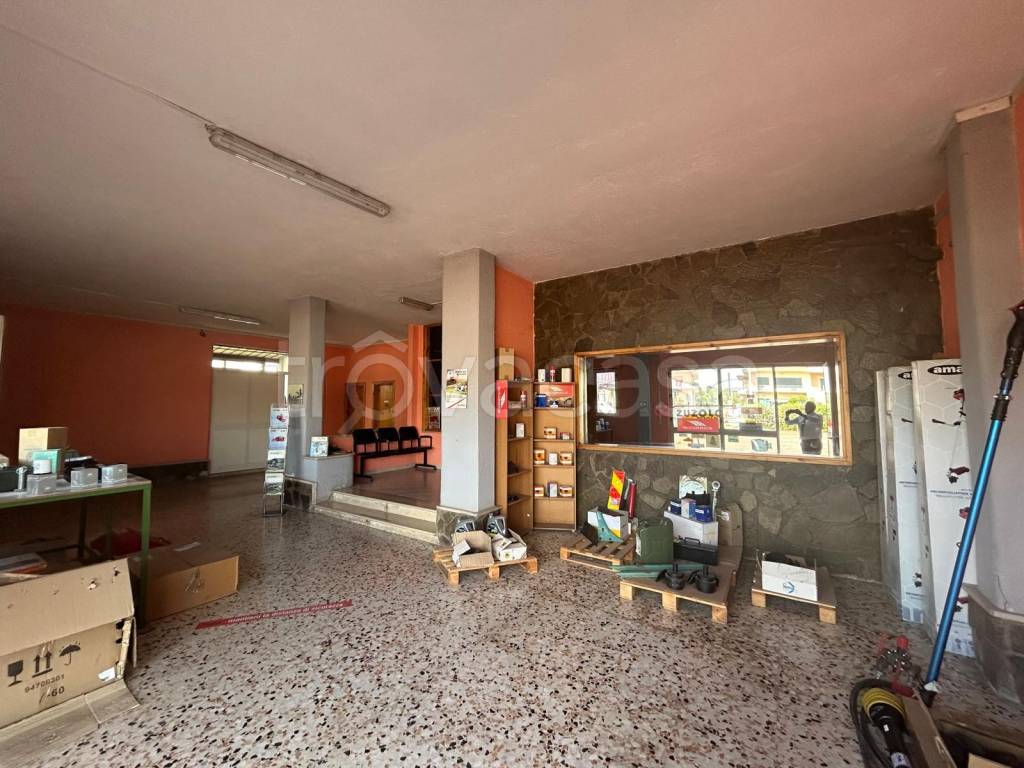 immagine annuncio 4 di 6