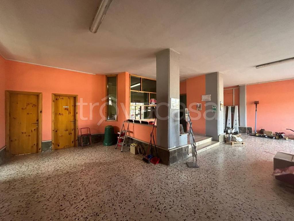 immagine annuncio 5 di 6