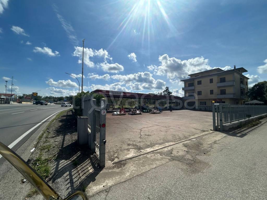 immagine annuncio 1 di 6