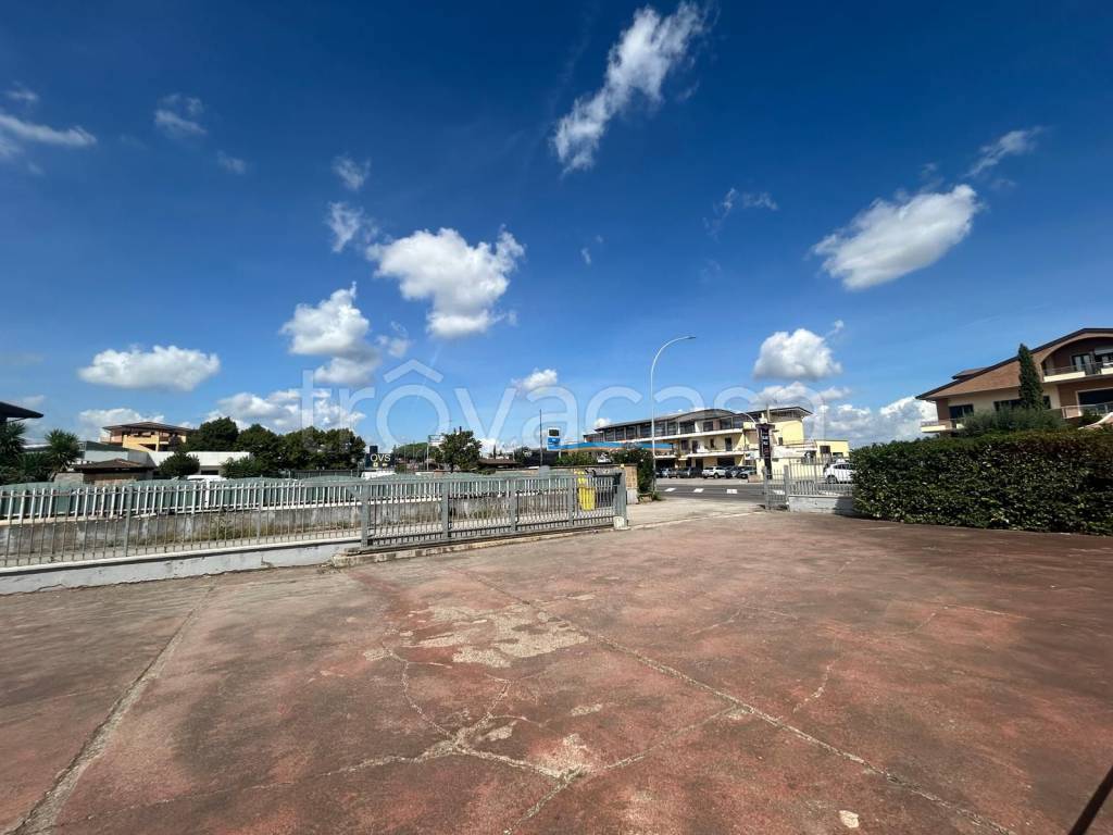 immagine annuncio 2 di 6