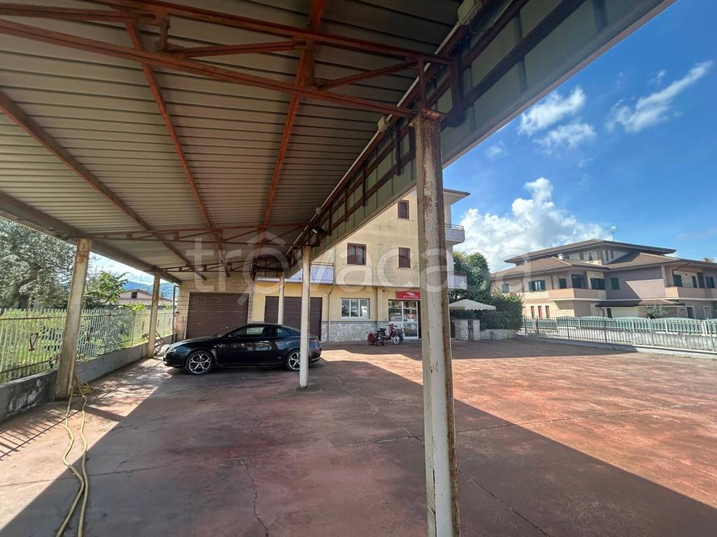 immagine annuncio 3 di 6