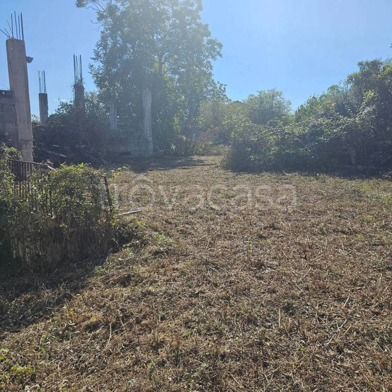 immagine annuncio 3 di 8