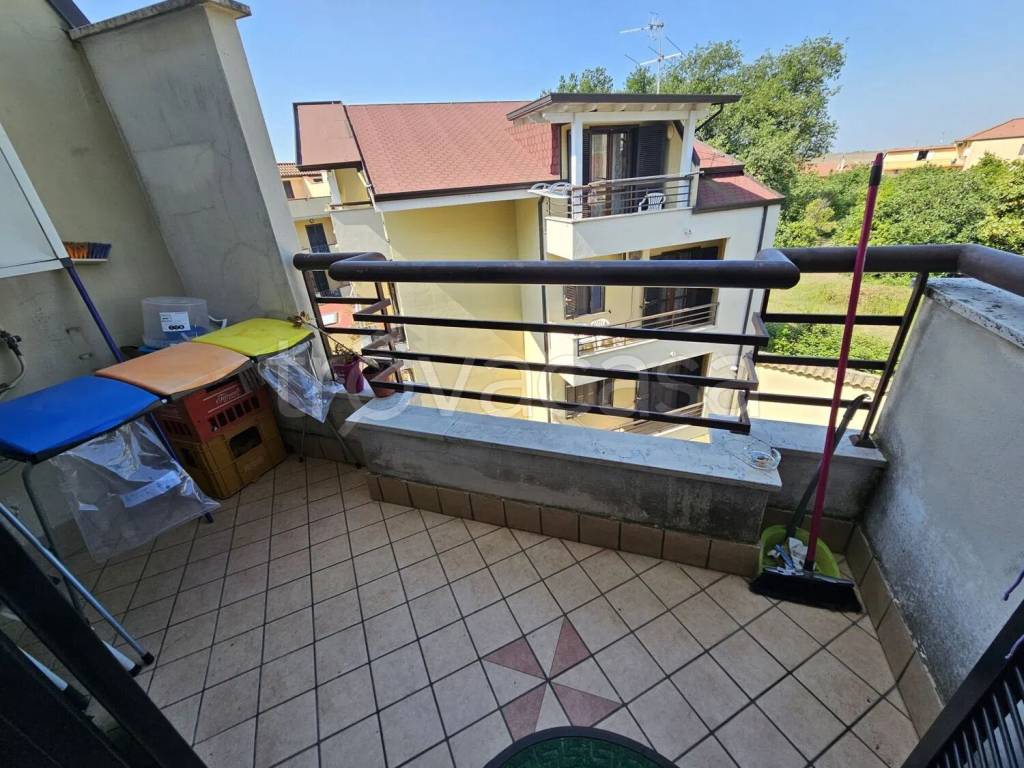 immagine annuncio 9 di 15