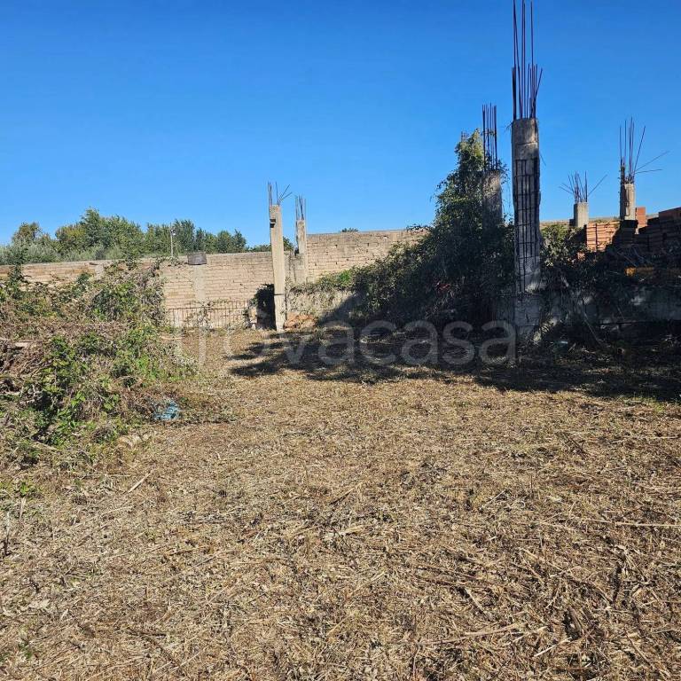 immagine annuncio 6 di 8