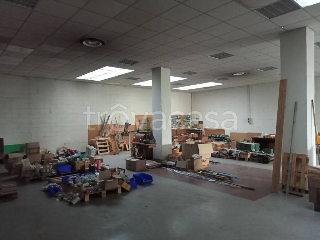 immagine annuncio 2 di 11