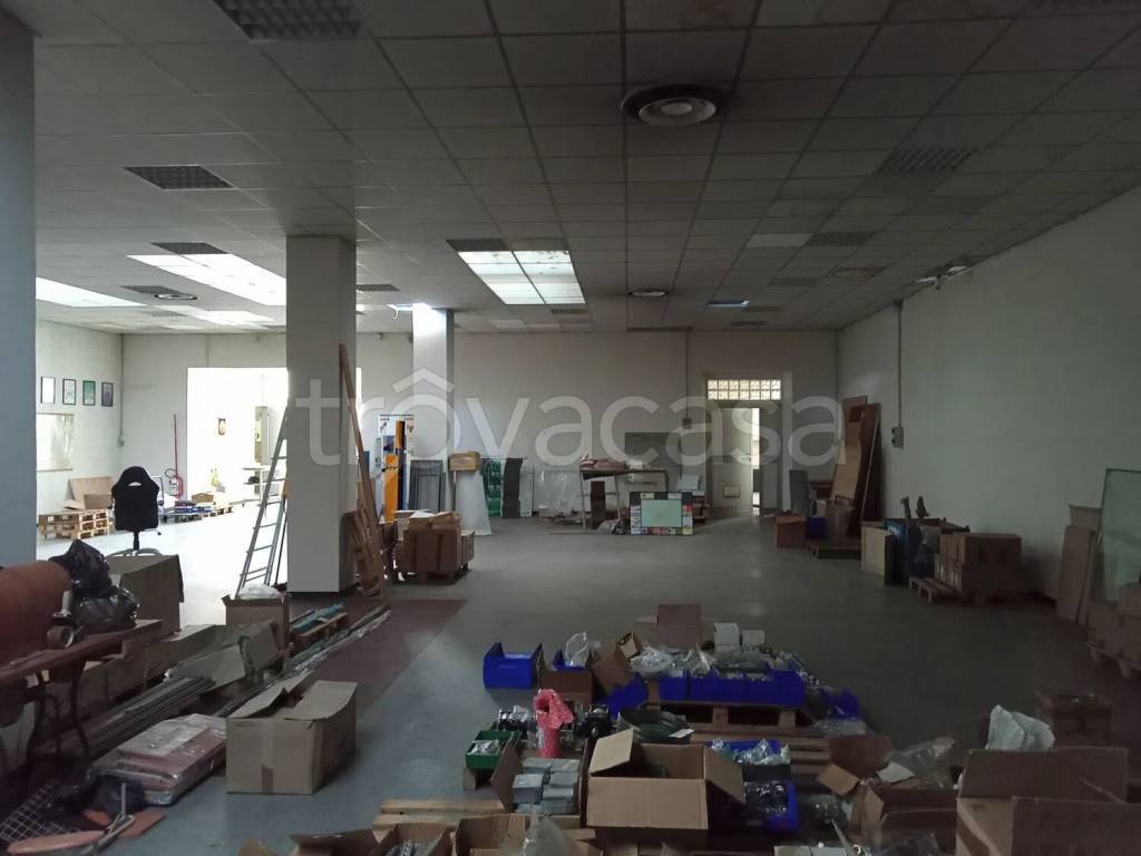 immagine annuncio 4 di 11