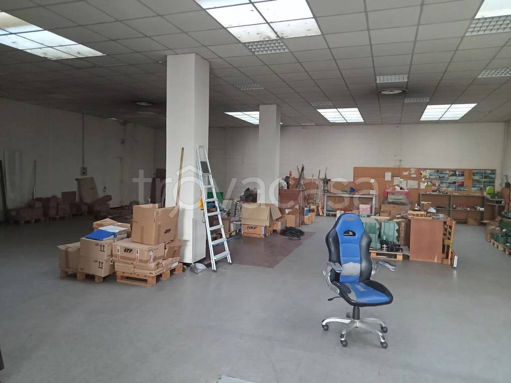 immagine annuncio 5 di 11