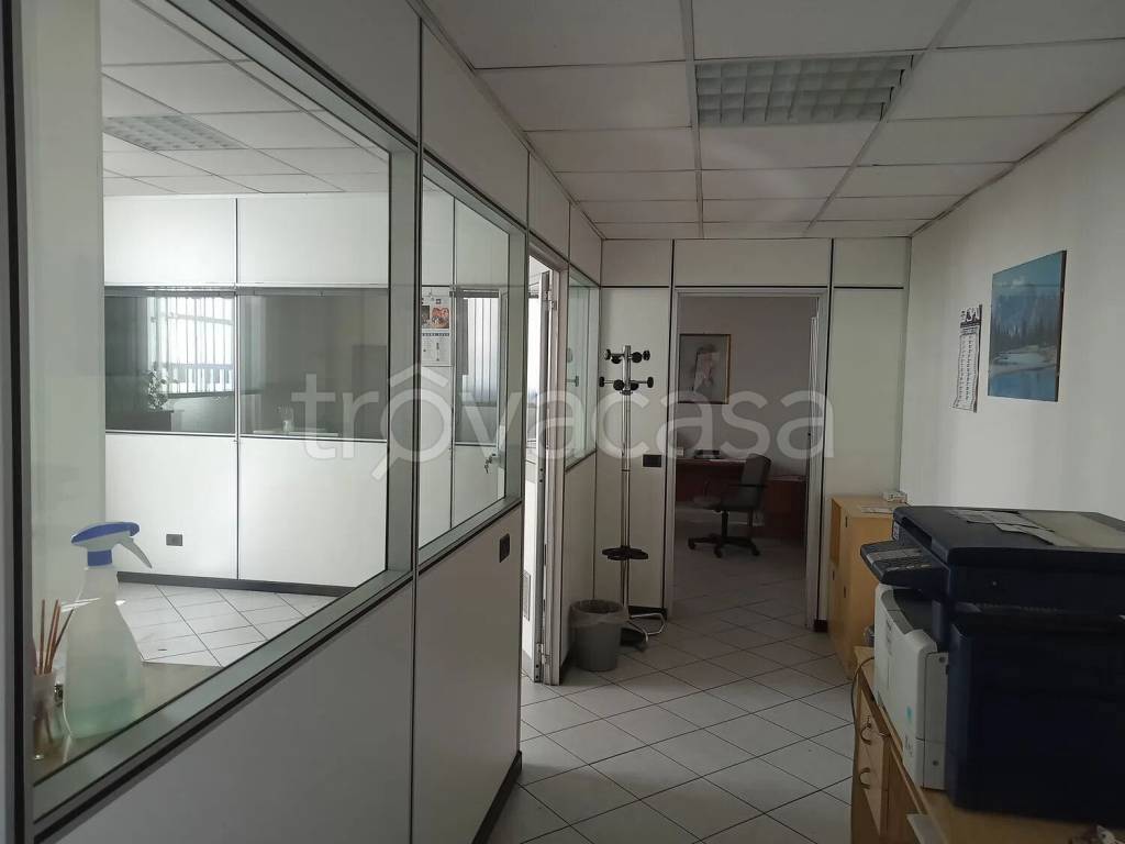 immagine annuncio 7 di 11