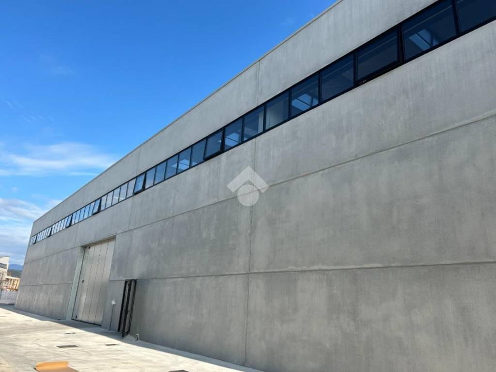 immagine annuncio 2 di 8