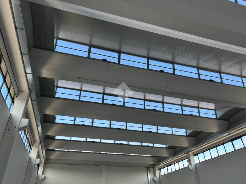 immagine annuncio 4 di 8