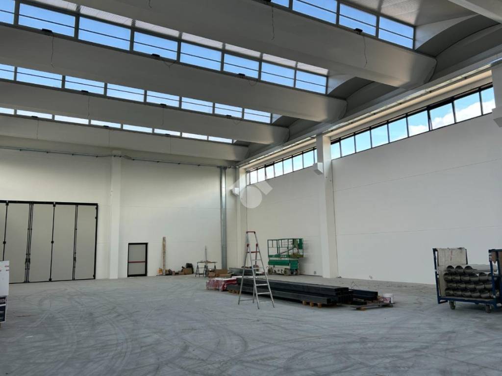 immagine annuncio 5 di 8