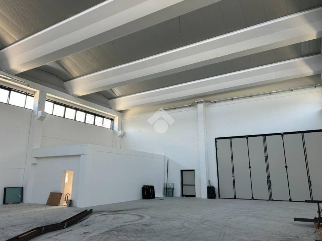 immagine annuncio 7 di 8