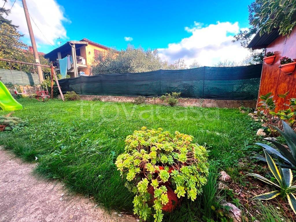 immagine annuncio 1 di 14