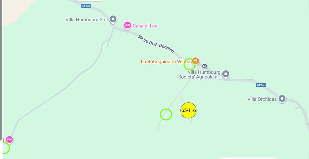 immagine annuncio 12 di 14