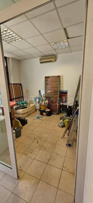 immagine annuncio 2 di 8