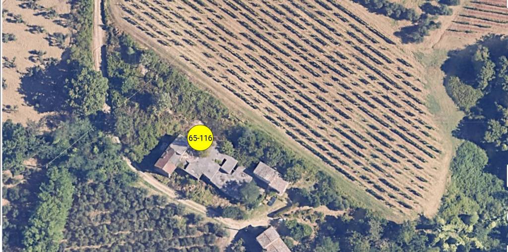 immagine annuncio 13 di 14