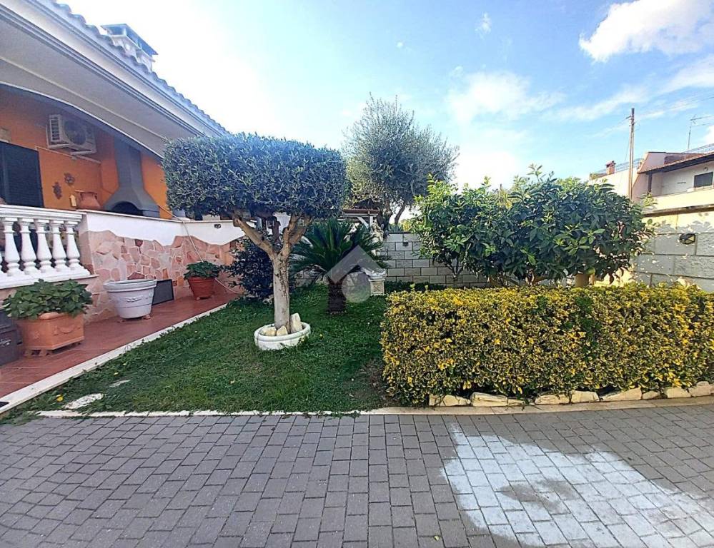 immagine annuncio 7 di 15