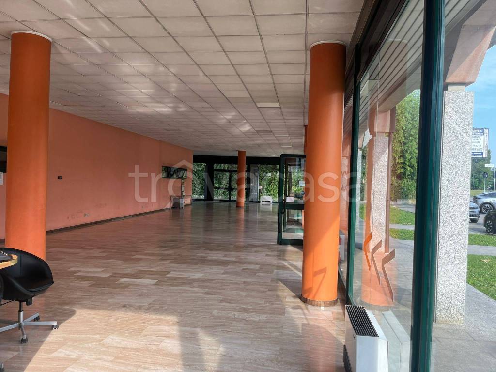 immagine annuncio 2 di 13