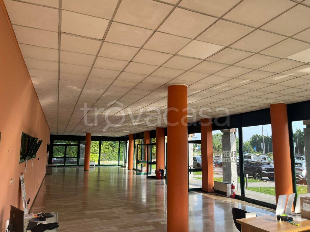 immagine annuncio 5 di 13