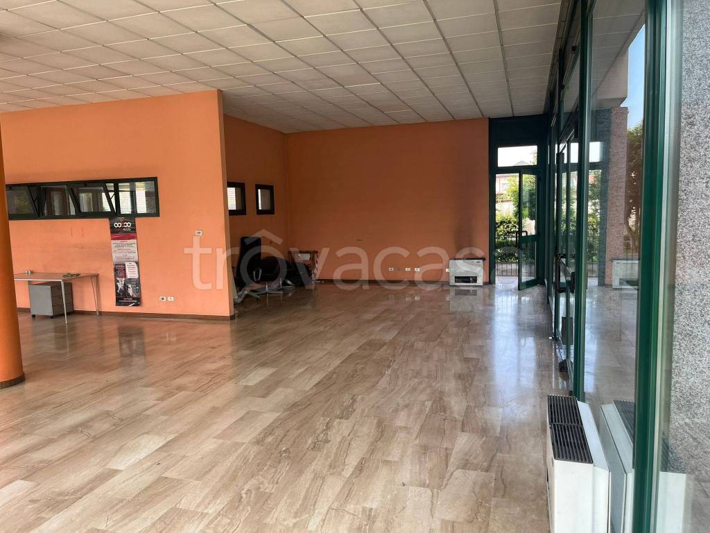 immagine annuncio 3 di 13