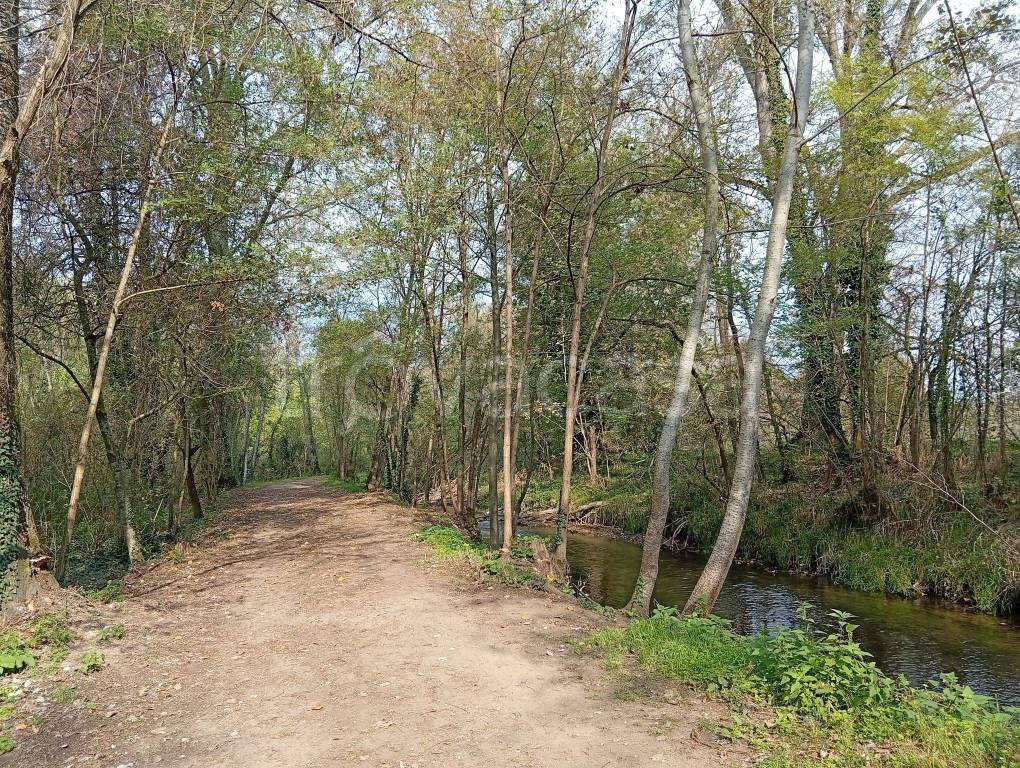 immagine annuncio 3 di 11