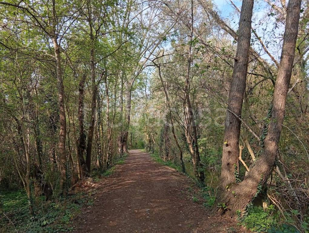 immagine annuncio 6 di 11