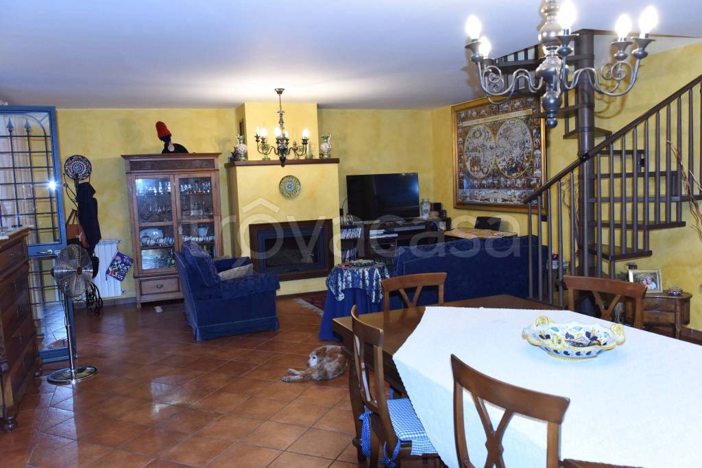 immagine annuncio 11 di 15