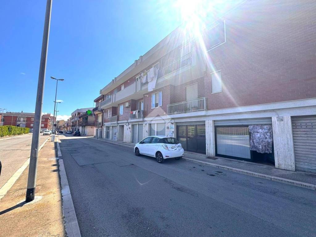 immagine annuncio 12 di 14