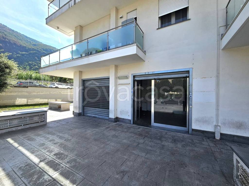 immagine annuncio 1 di 12