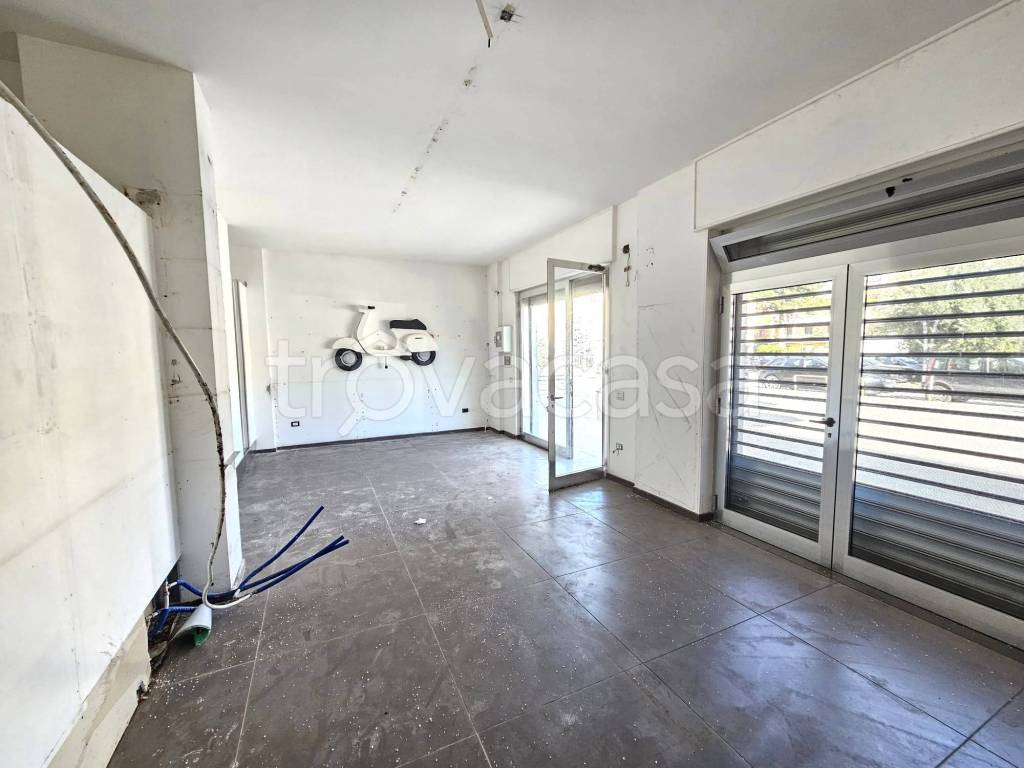 immagine annuncio 6 di 12