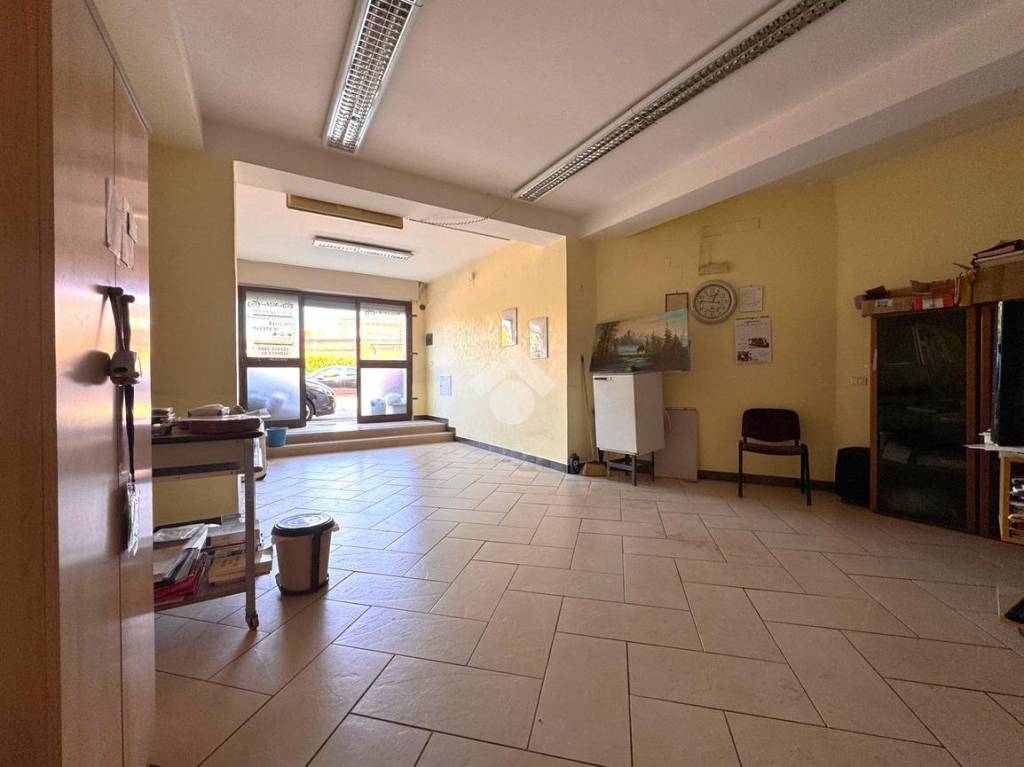 immagine annuncio 6 di 14