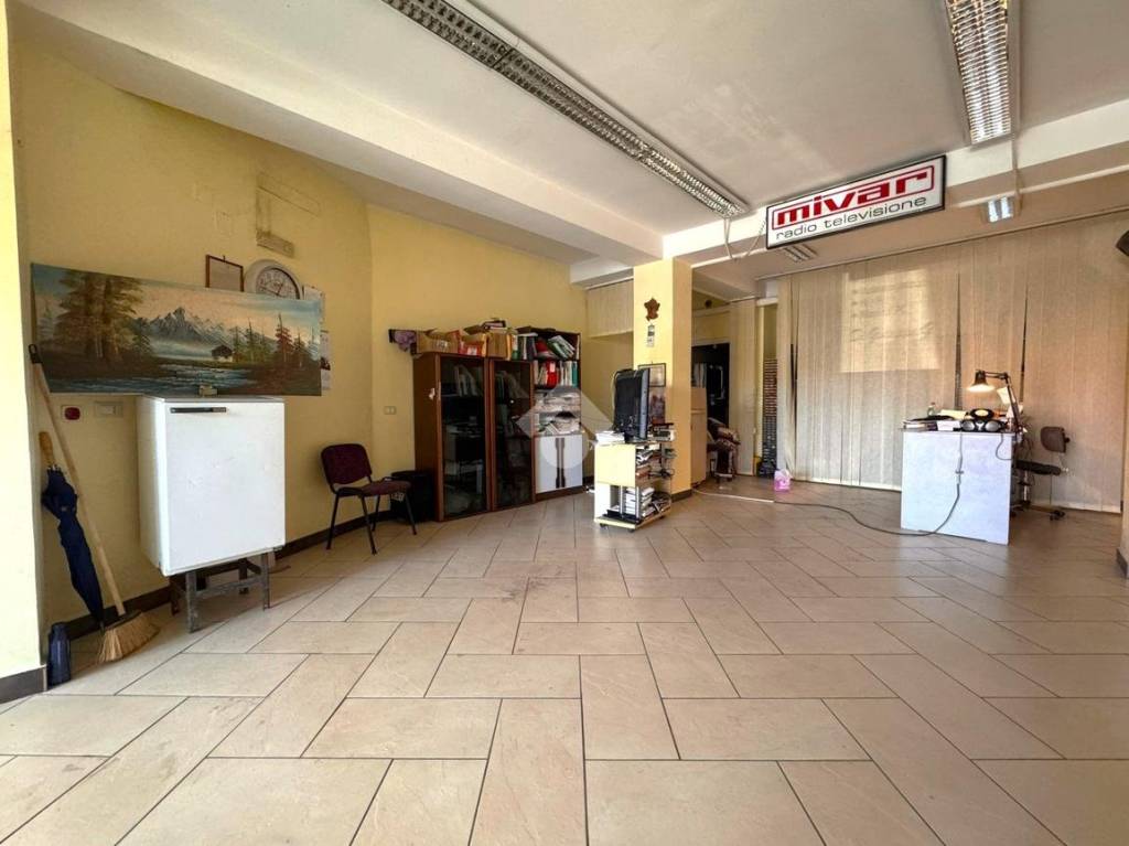 immagine annuncio 7 di 14