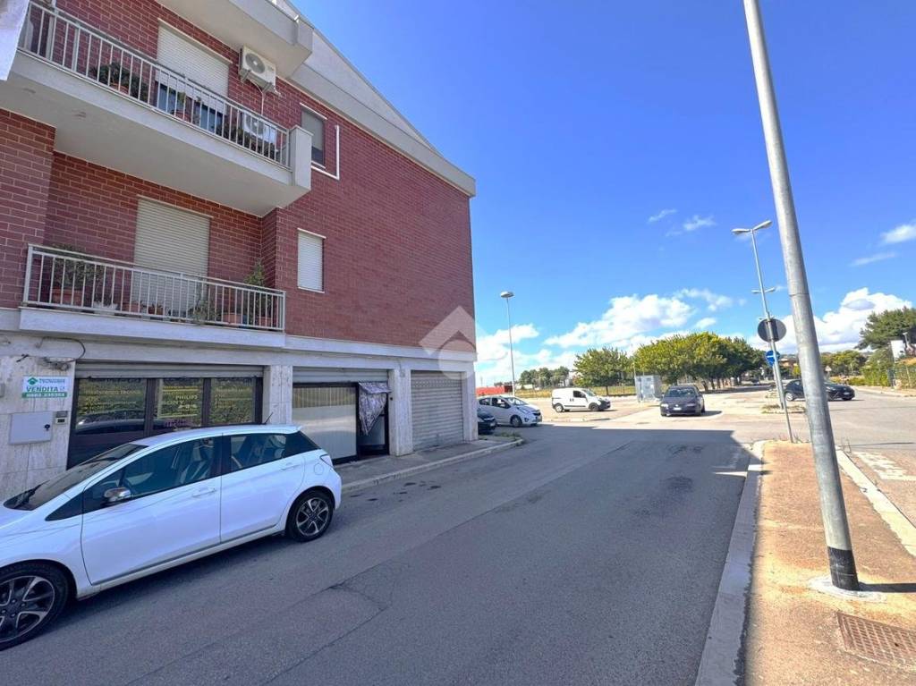 immagine annuncio 13 di 14