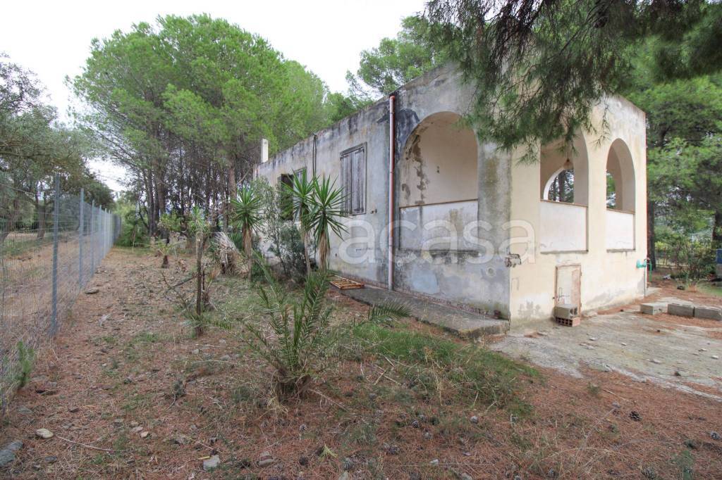 immagine annuncio 8 di 15