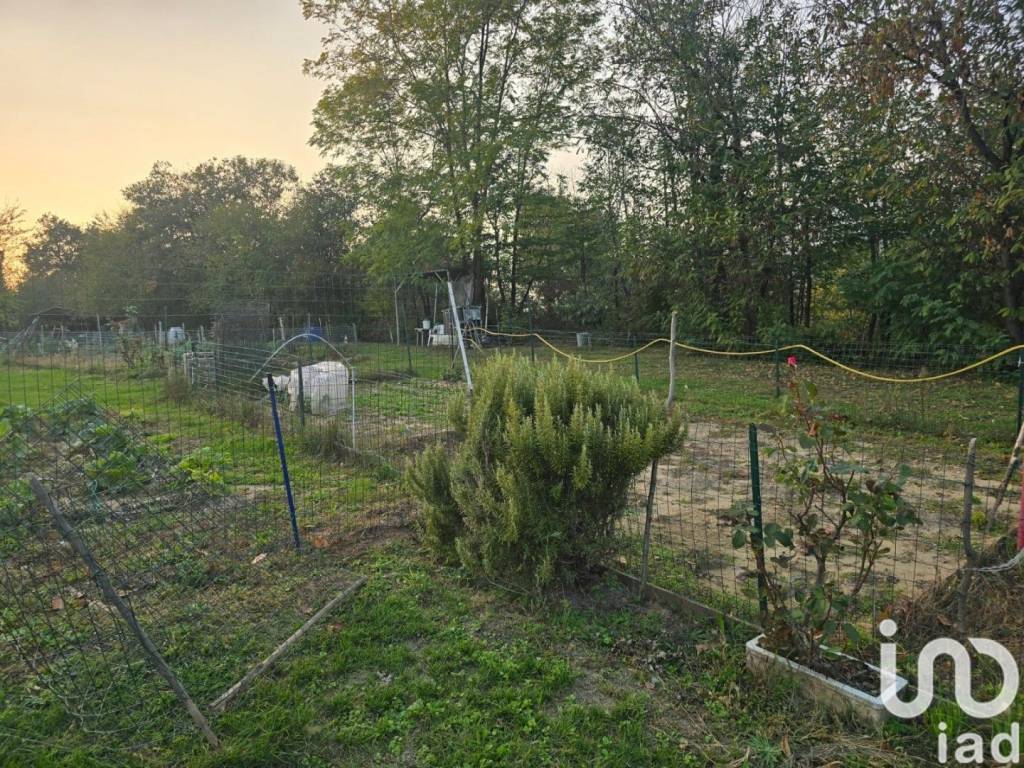 immagine annuncio 6 di 14