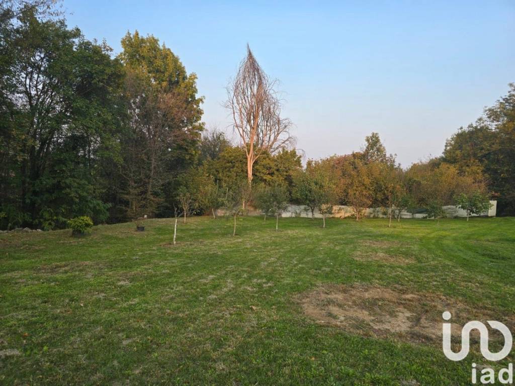 immagine annuncio 8 di 14