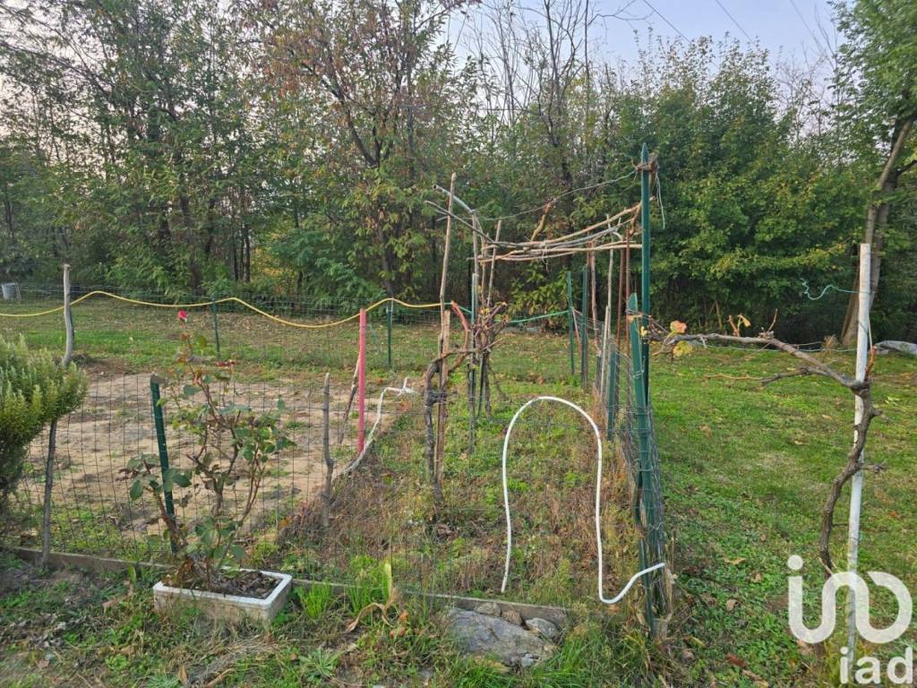 immagine annuncio 9 di 14