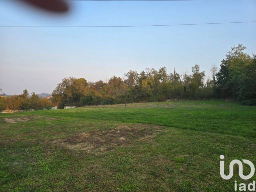 immagine annuncio 10 di 14