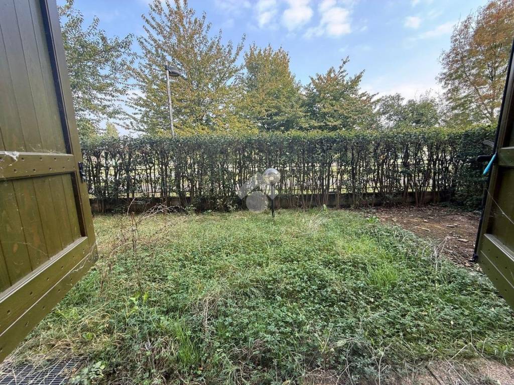 immagine annuncio 4 di 13